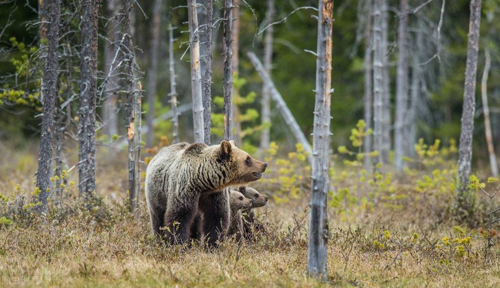 15个你不知道的国家冷知识,生活中的有趣冷知识