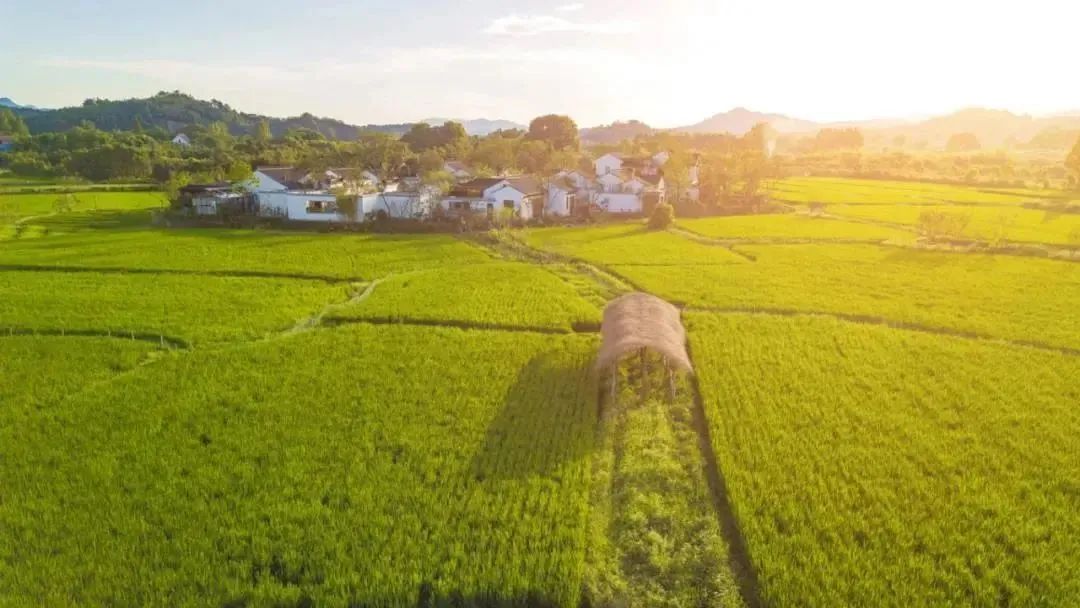 天府农博游玩心情,天府农业博览园一日游