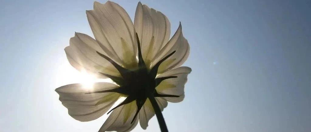 寒假来了，空闲地看过来，投稿赚生活费的公众号，他来了