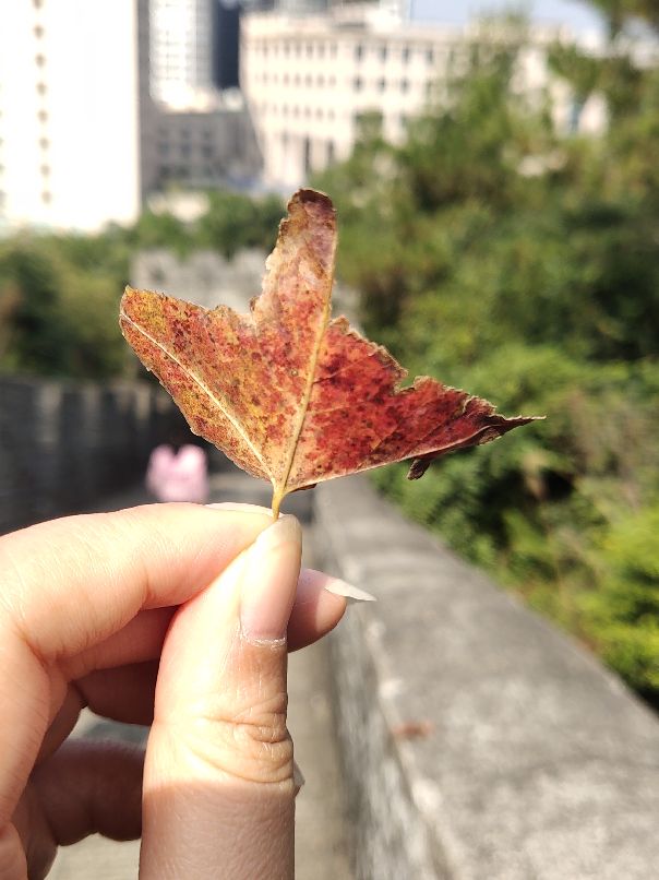 先心病寿命,有先心病的人能活多久