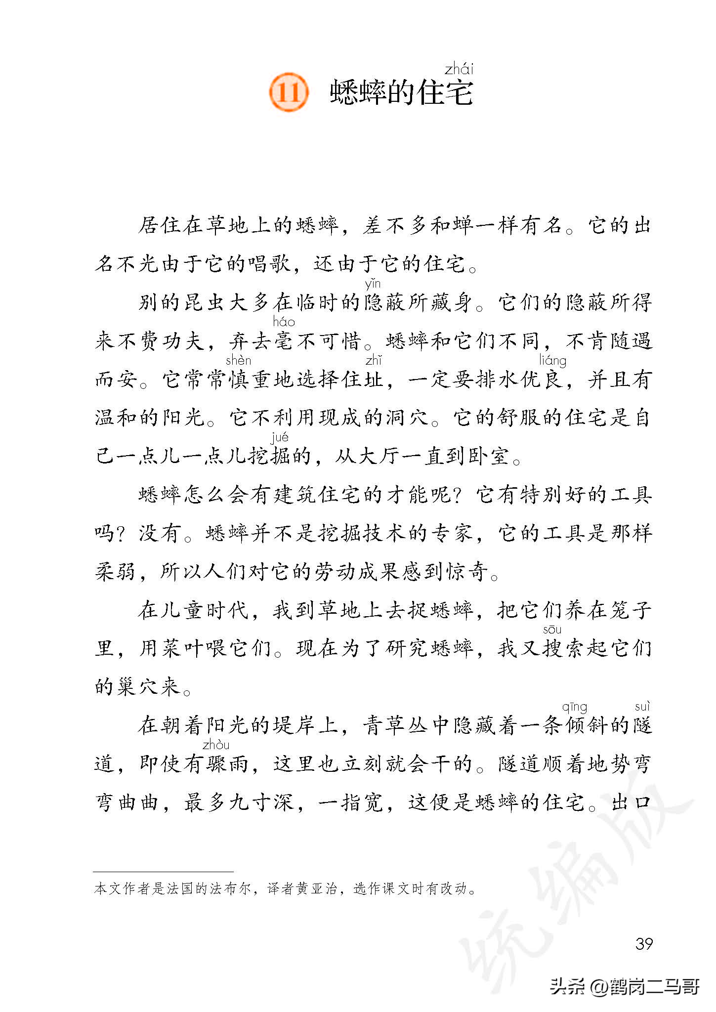 暑假预习资料小学,四年级下册语文课本第17课预习