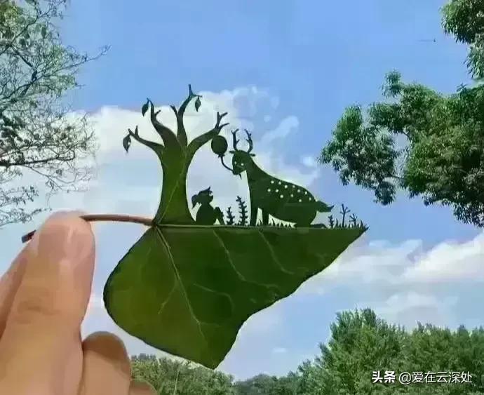 生活的美在于点点滴滴的发现,善于用双眼发现生活中的美