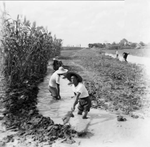 老农挖出120斤金饼,安徽老农挖出黄金