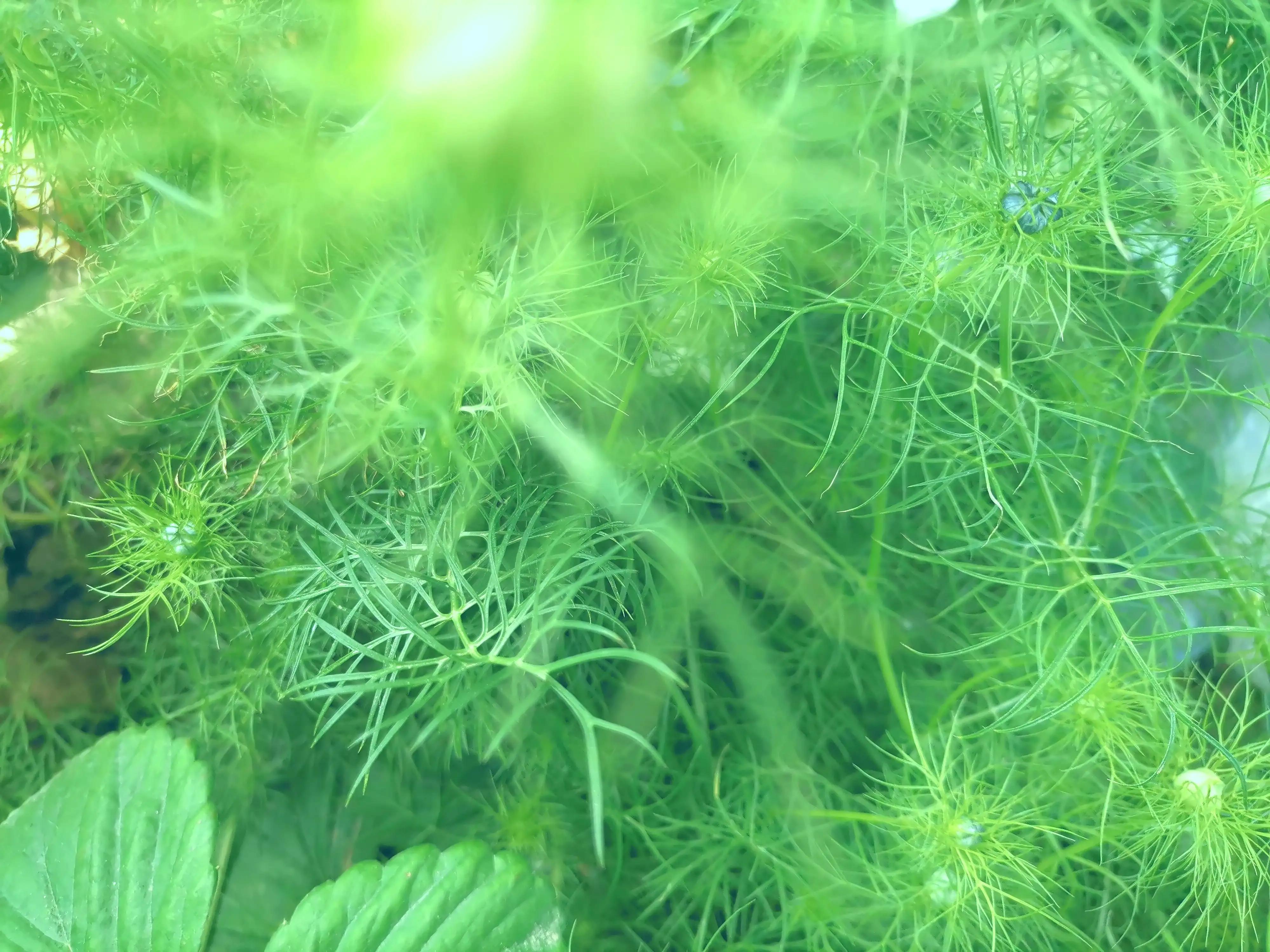 抗菌药物使用情况说明,抗菌药物的临床合理应用