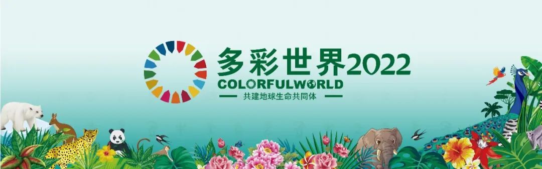 多彩世界国际青少年绘画邀请展,多彩世界绘画征集活动教程