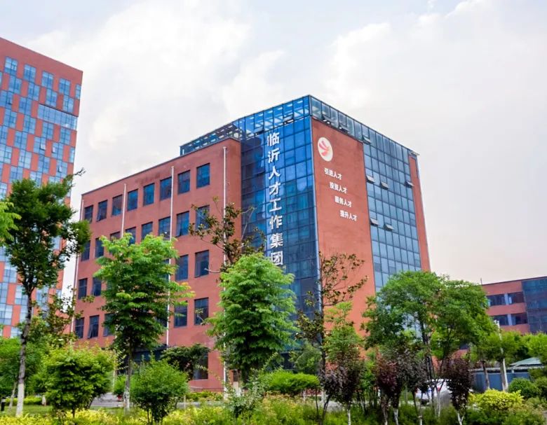 临沂人才集团架构,临沂人才服务集团