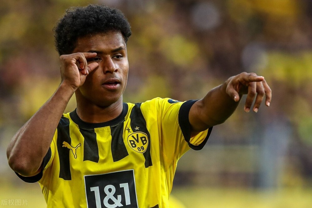 辛克尔选什么,辛克尔