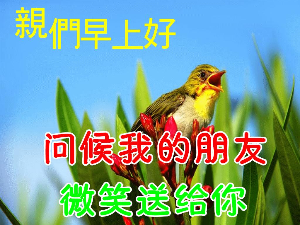 星期三早安创意早上好问候语图片,最新周五早上好问候语表情包