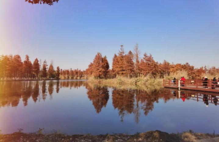 苏州景区推荐最值得去的地方,苏州最值得旅游的地方