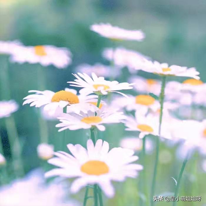 宅在家也能赚钱的副业,在家适合干什么副业赚钱