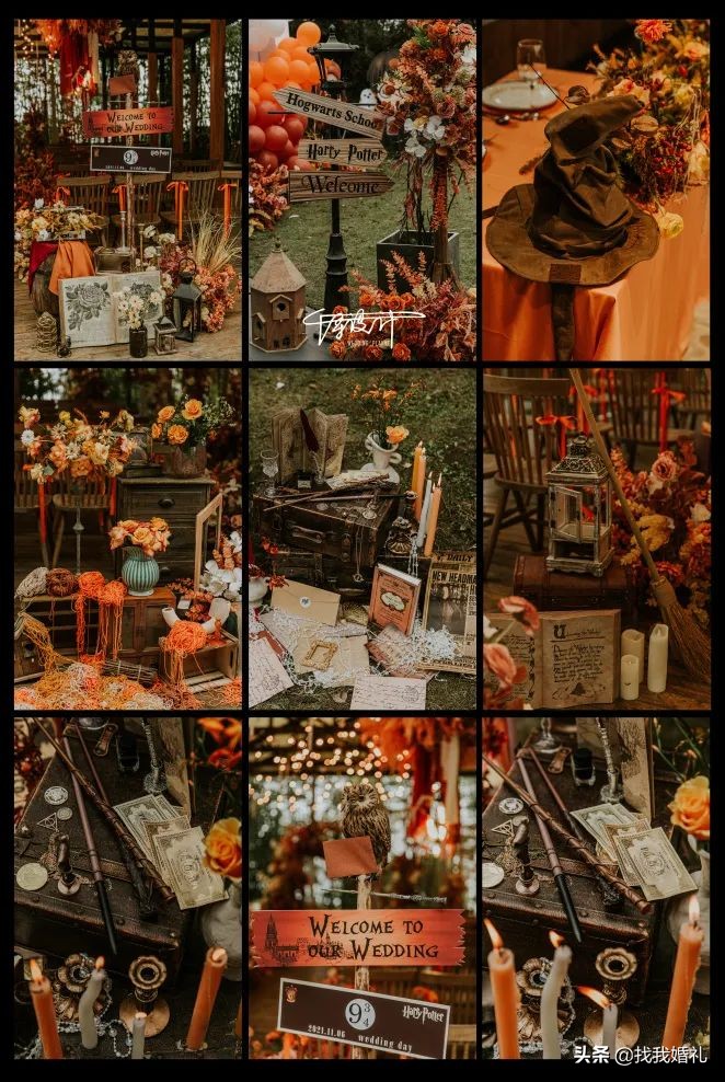 他们在霍格沃茨办了一场婚礼，请来了哈利波特…