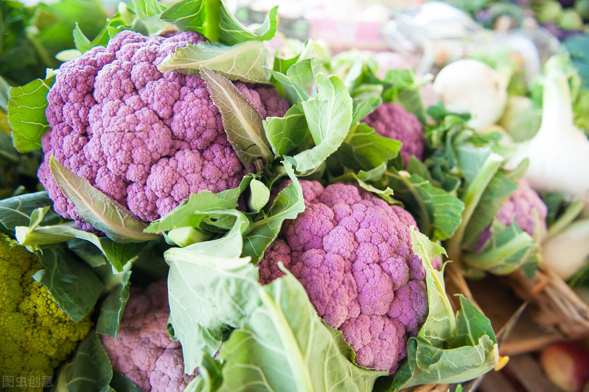 婆婆搬过来同住挺高兴,婆婆搬过来和我们同住