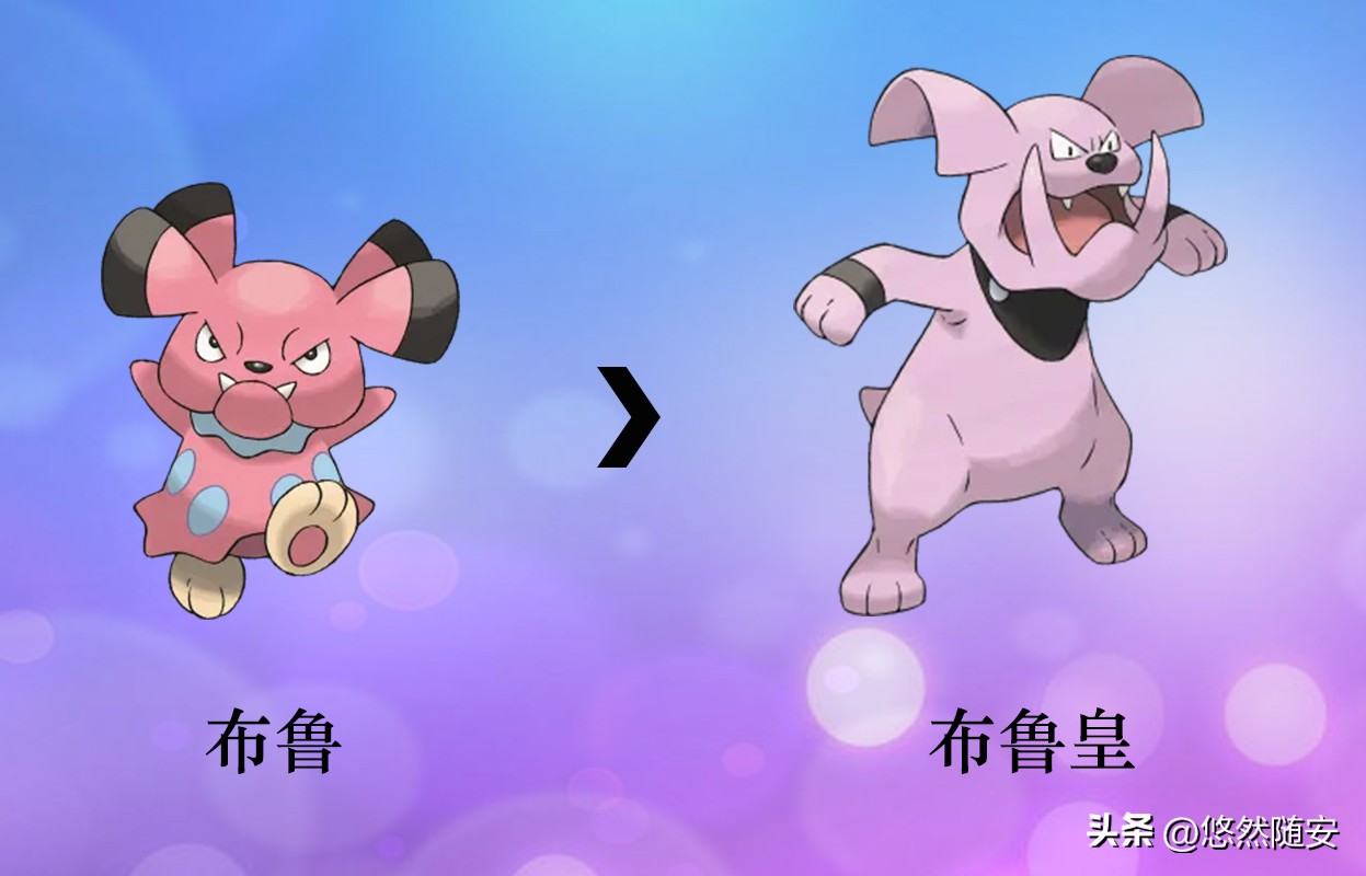 宝可梦伊布全部进化形态,宝可梦剑盾泪眼蜥进化形态