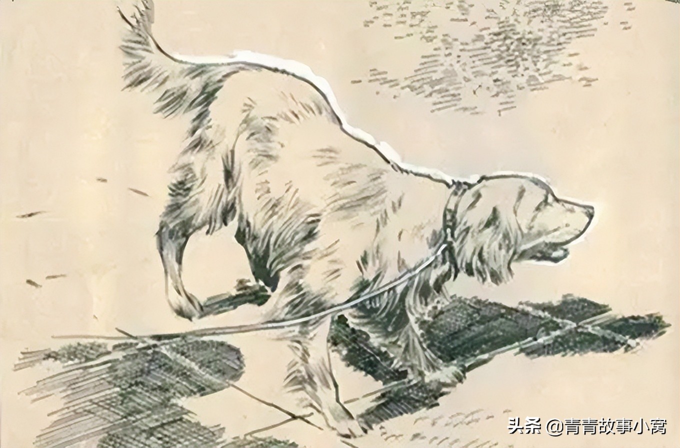 梦见狗难产生下一只小狗,梦见家里狗子生下一只小狗