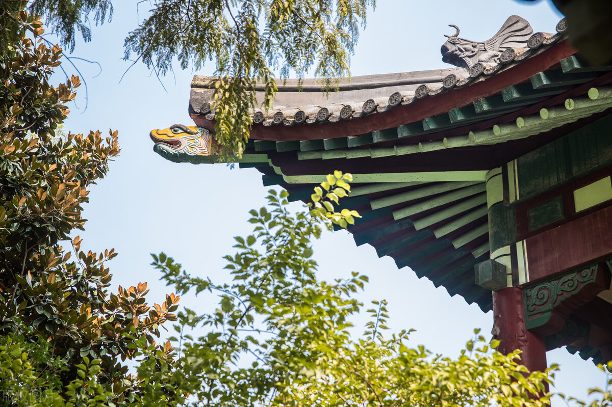 教师教学特色展示,名师教学的秘诀