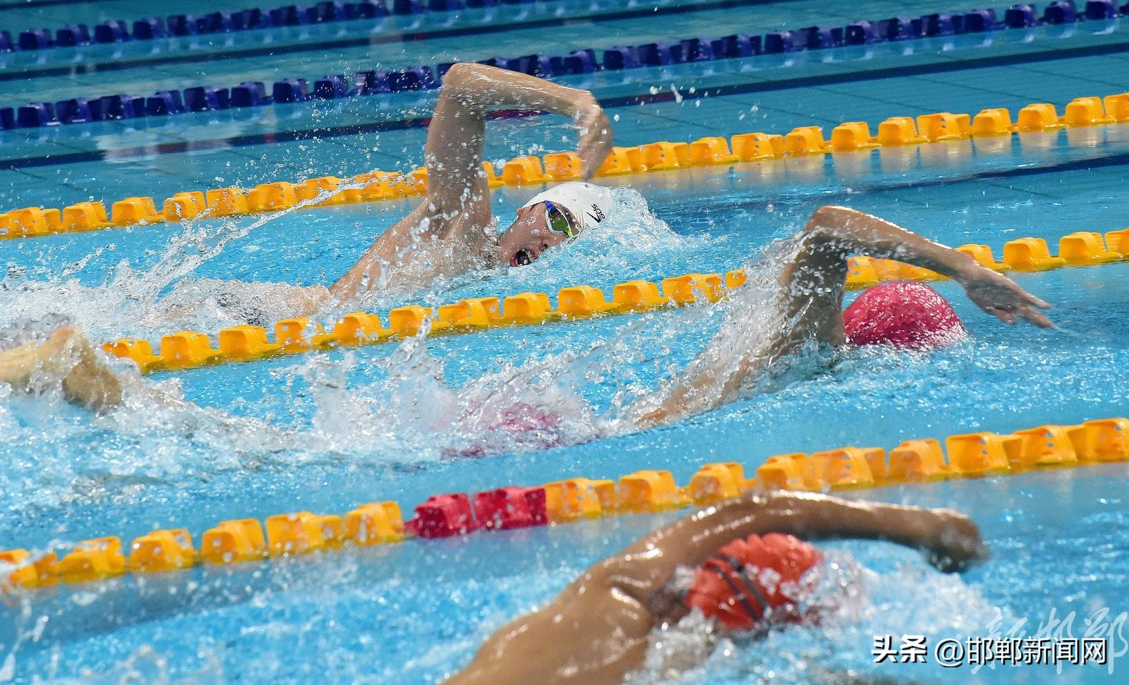 【聚焦河北省第十六届运动会】“浩沙FAFA”杯青少年游泳锦标赛开赛
