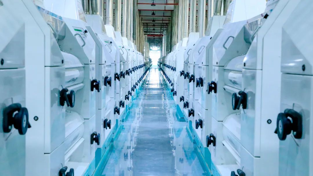 金沙河公司是干什么的,金沙河集团员工