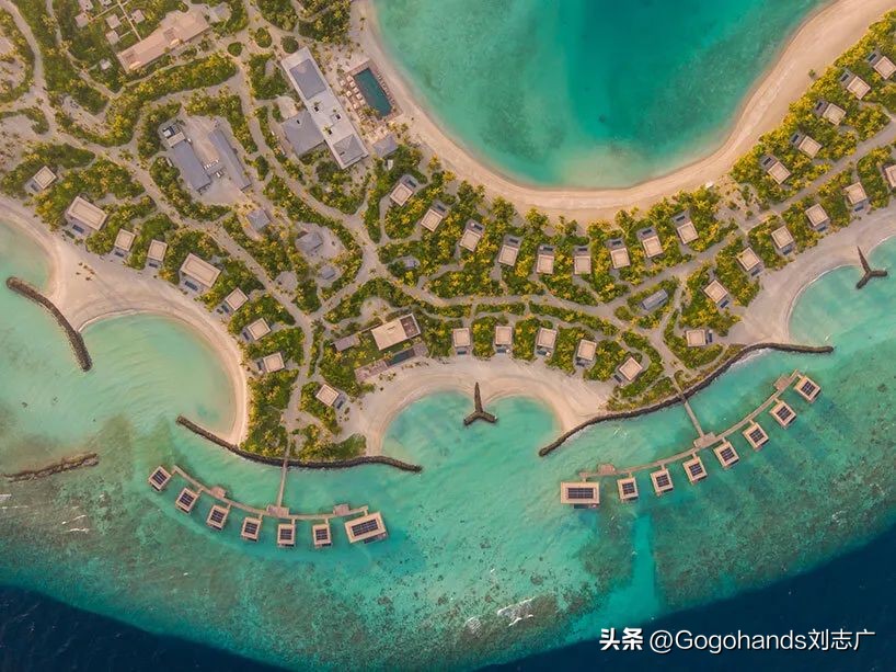 二月二龙抬头我们在一起,二月二龙抬头我们能抬头吗