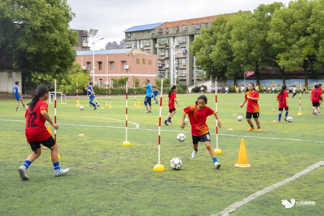 东西湖学校好不好,东西湖区比较好学校