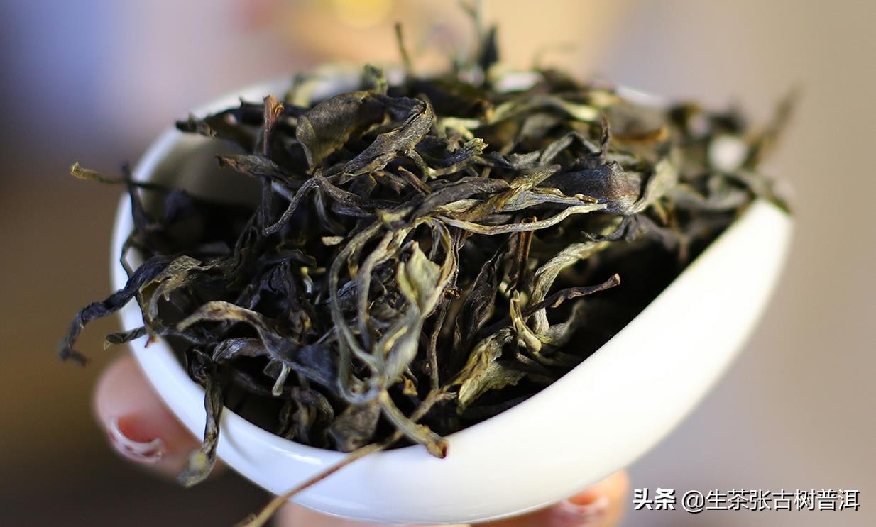 熟普洱茶泡着喝还是煮着喝,普洱茶泡两天还能喝吗