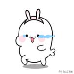 会计入门零基础分录,初级会计利润表详细讲解