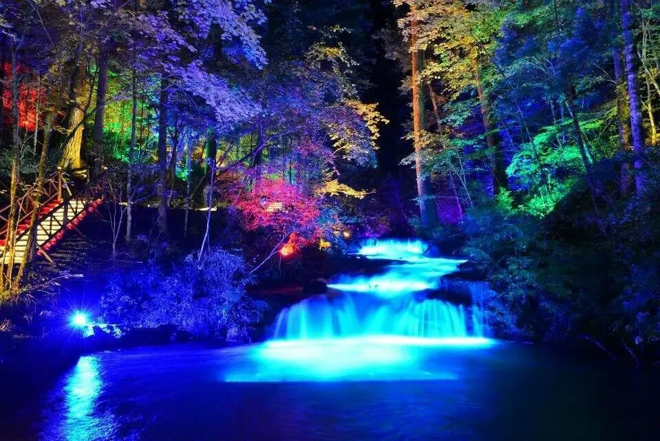 美好的夏天一切都在盛放,一切都从这个美好的夏天开始