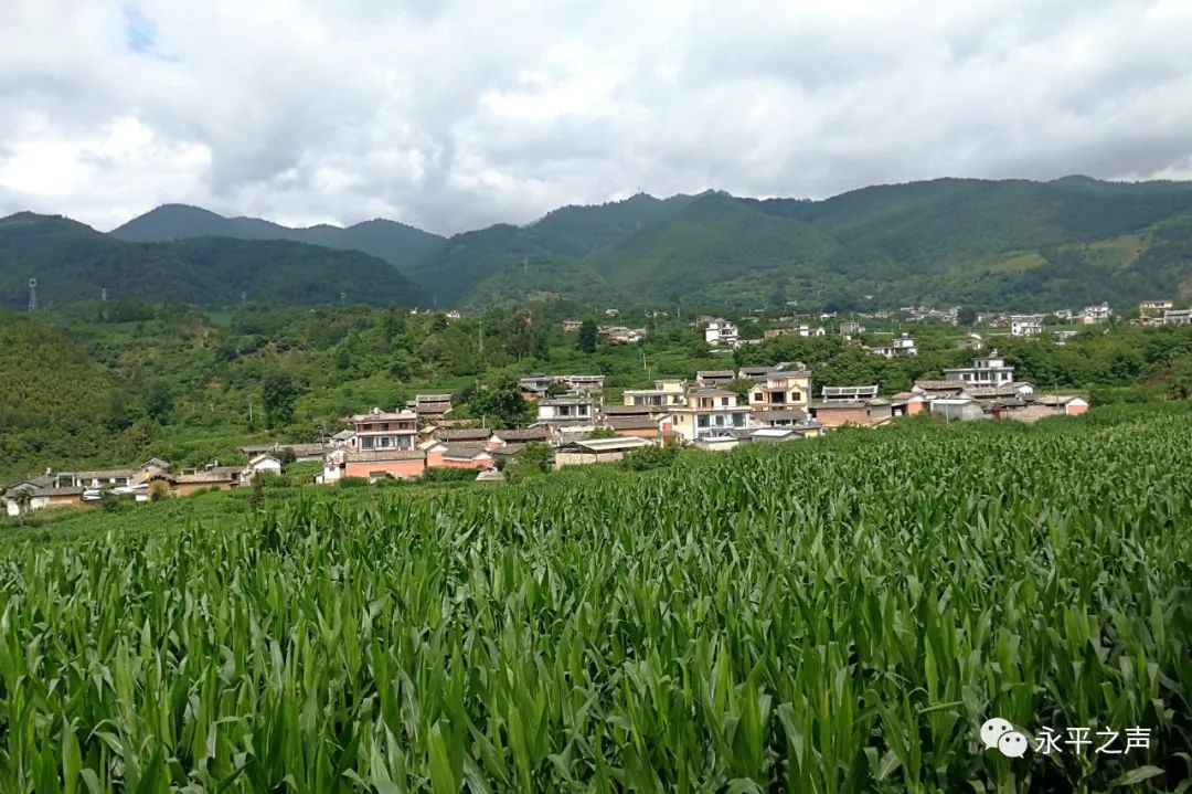 龙门乡光映村：“三把尺子”作“引擎”干事为民立“标杆”