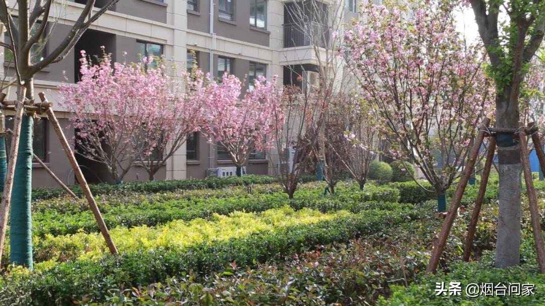 烟台发展新思路,与城市共生的关系