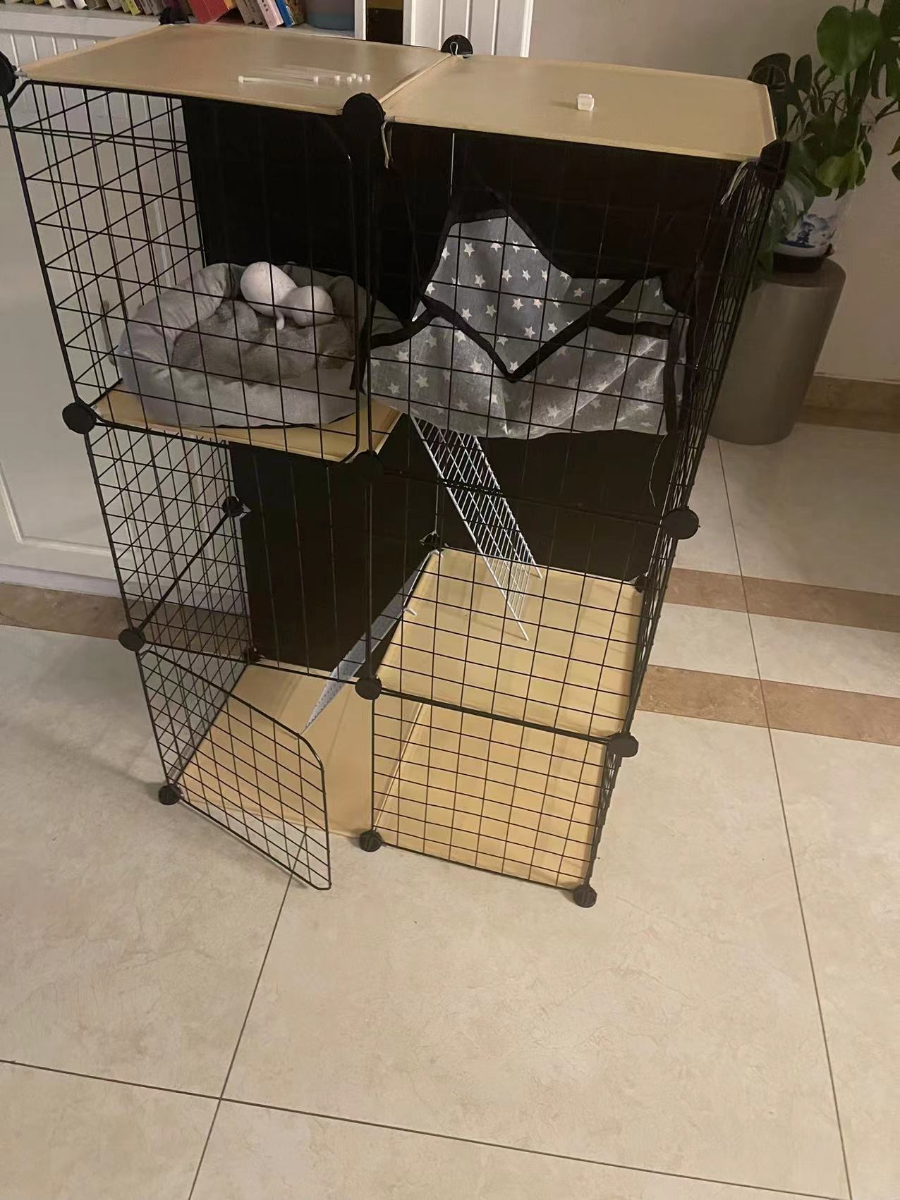 小猫被粘鼠板粘住的视频,被粘鼠板粘过的小猫怎么救治