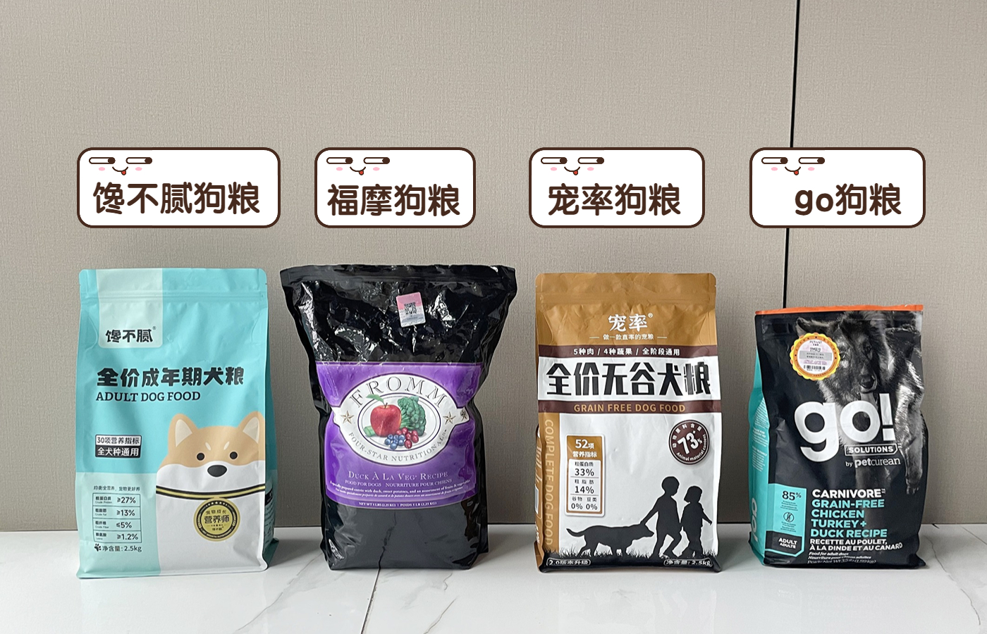 什么狗好驯服不咬人便宜还能看家,什么狗最适合老年人饲养