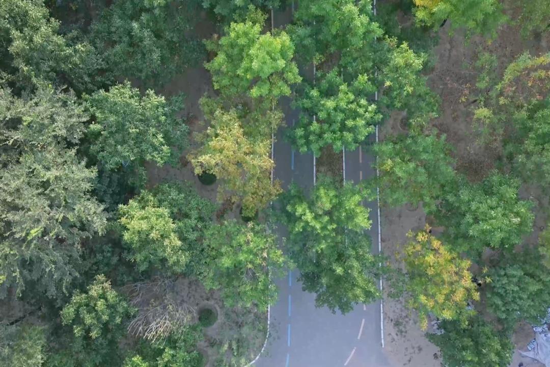 罗振宇2023时间的朋友跨年演讲,罗振宇2023跨年演讲文字版