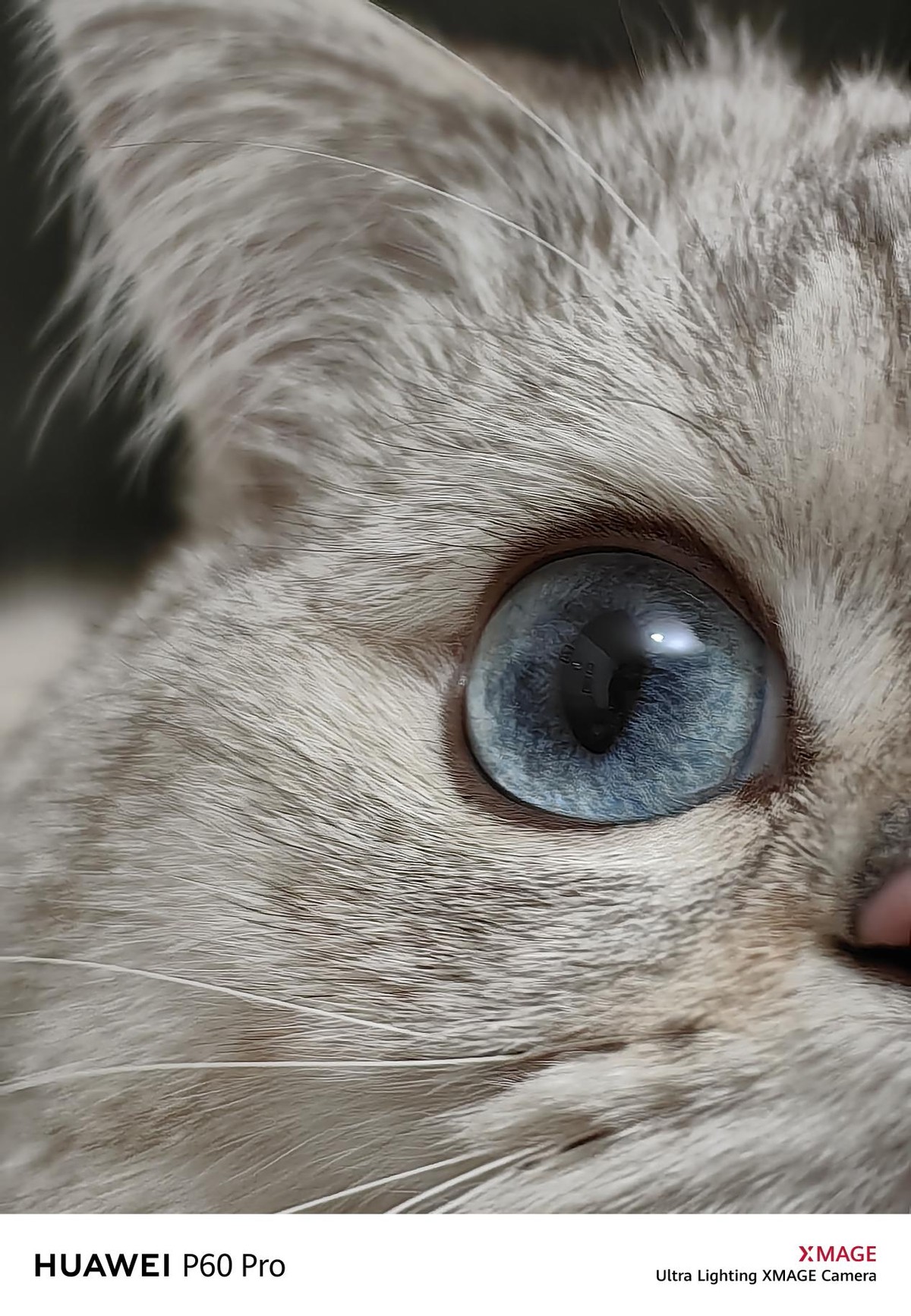 华为p60可以用八达通吗,华为p60智慧场景有哪些