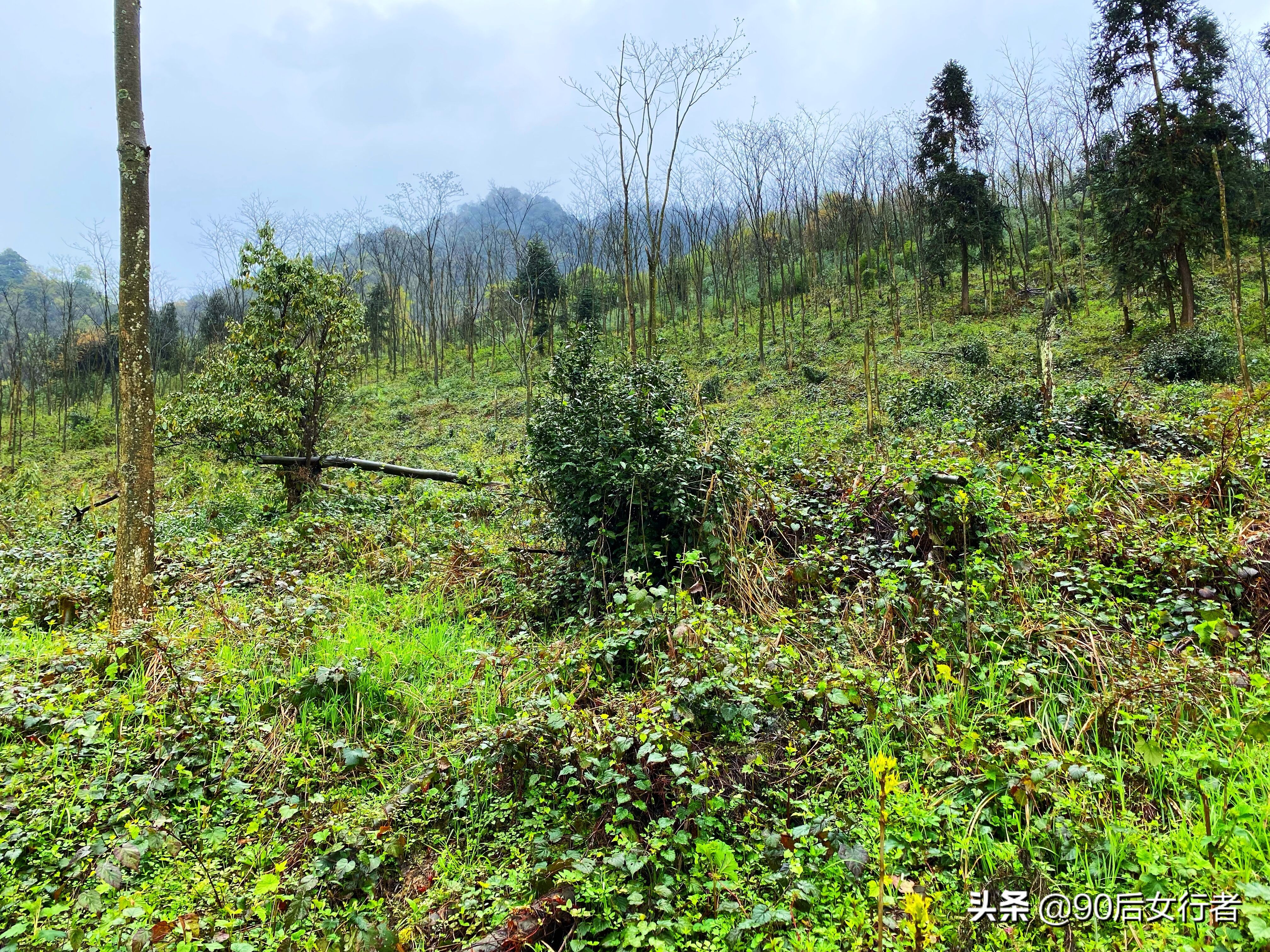 雨天徒步十里长山凹,走进大自然翻山越岭户外徒步