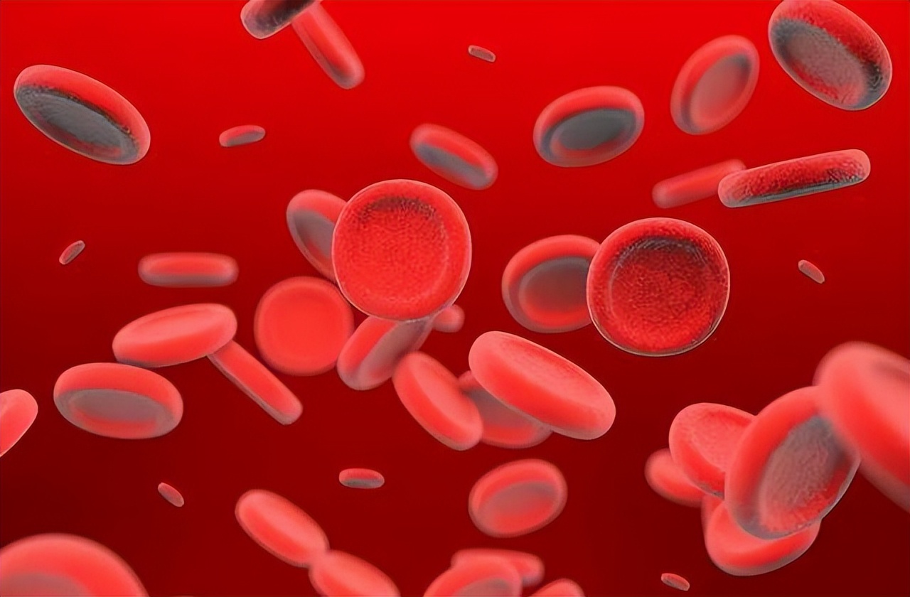 血常规检查各种比例指标下降,血常规四个指标升高需要注意什么