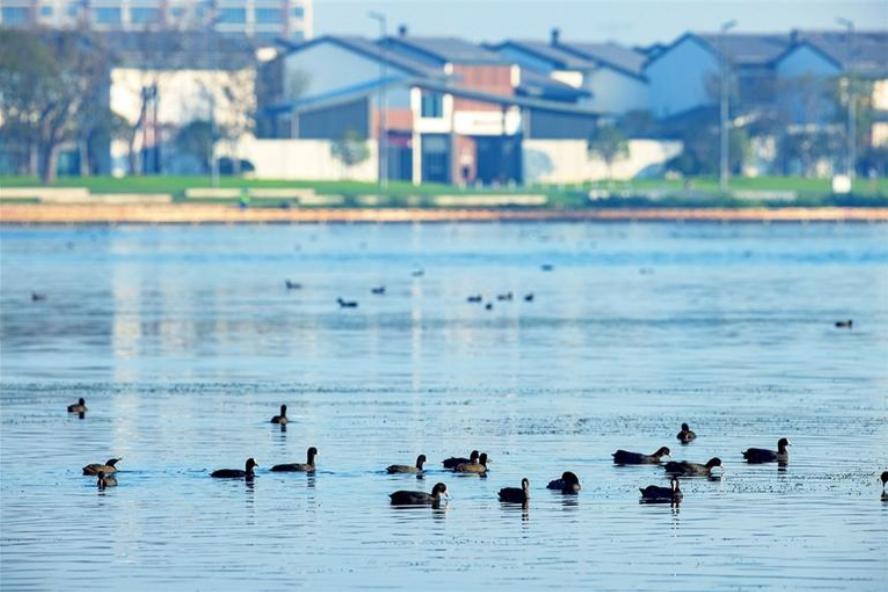 浙江新一批事业单位,浙江2024年优秀企业名单