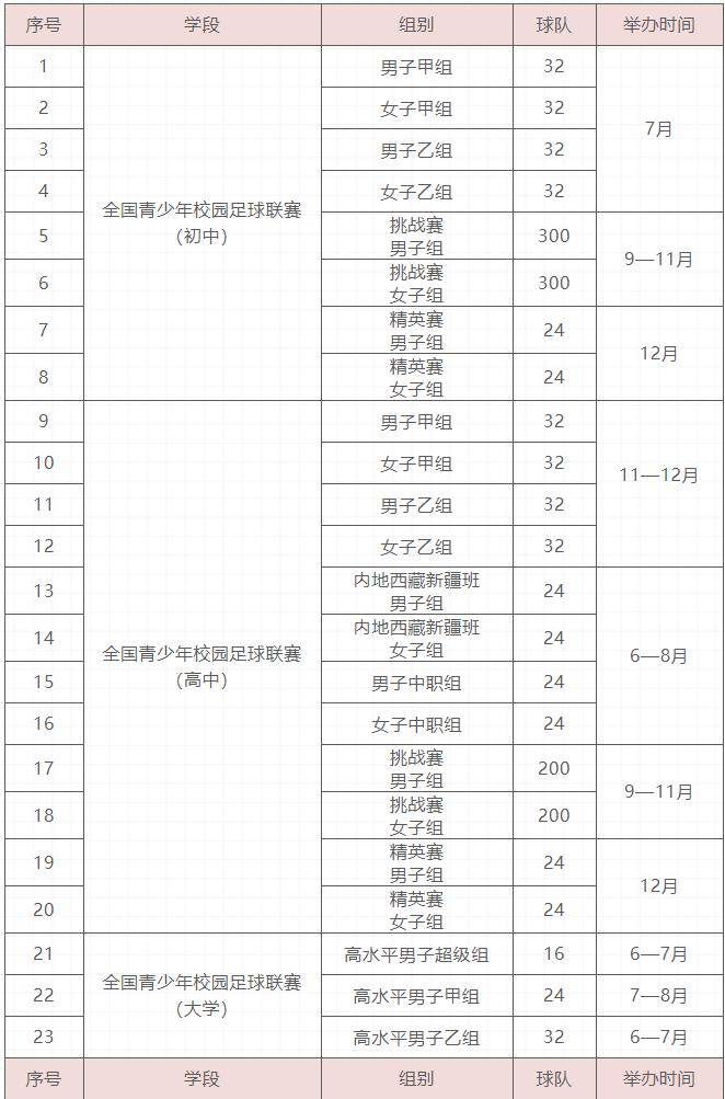 全国青少年足球工作领导小组,全国青少年校园足球工作领导小组