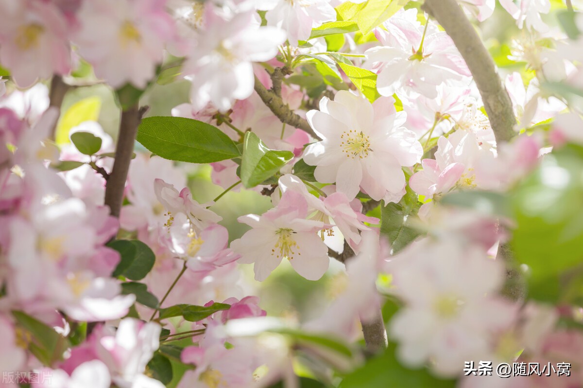 宝宝甲流感染者1-7天表现症状图,5岁孩子支原体感染高烧