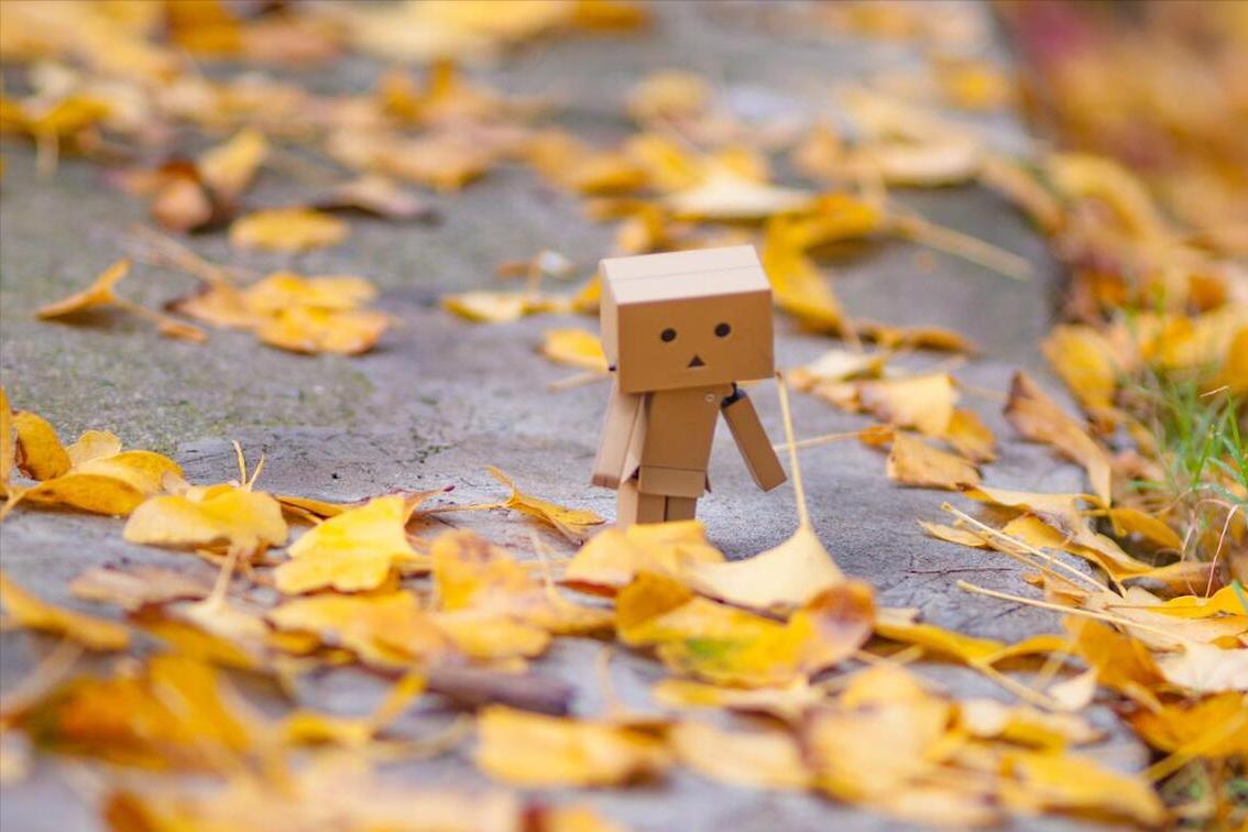 姐姐要和欺凌我的人结婚，母亲的做法令她悔恨终身，后来活成笑话