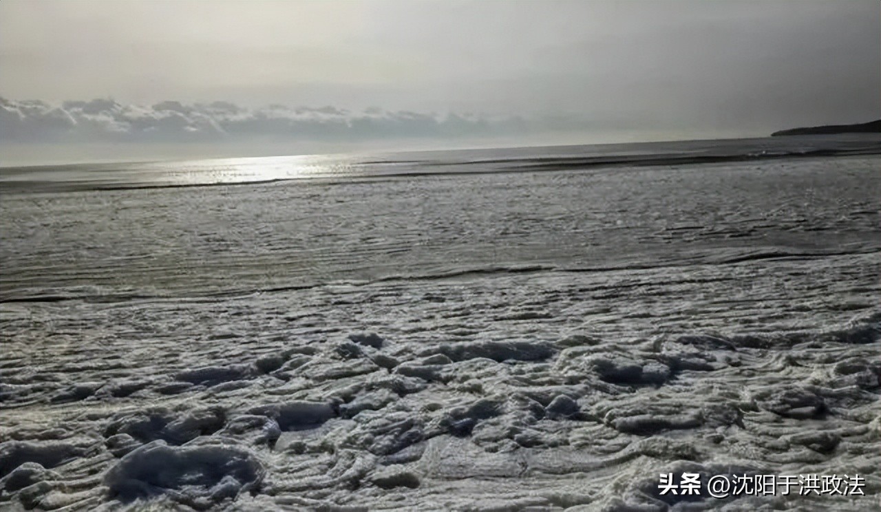 辽宁见义勇为最新消息,辽宁省见义勇为勇士