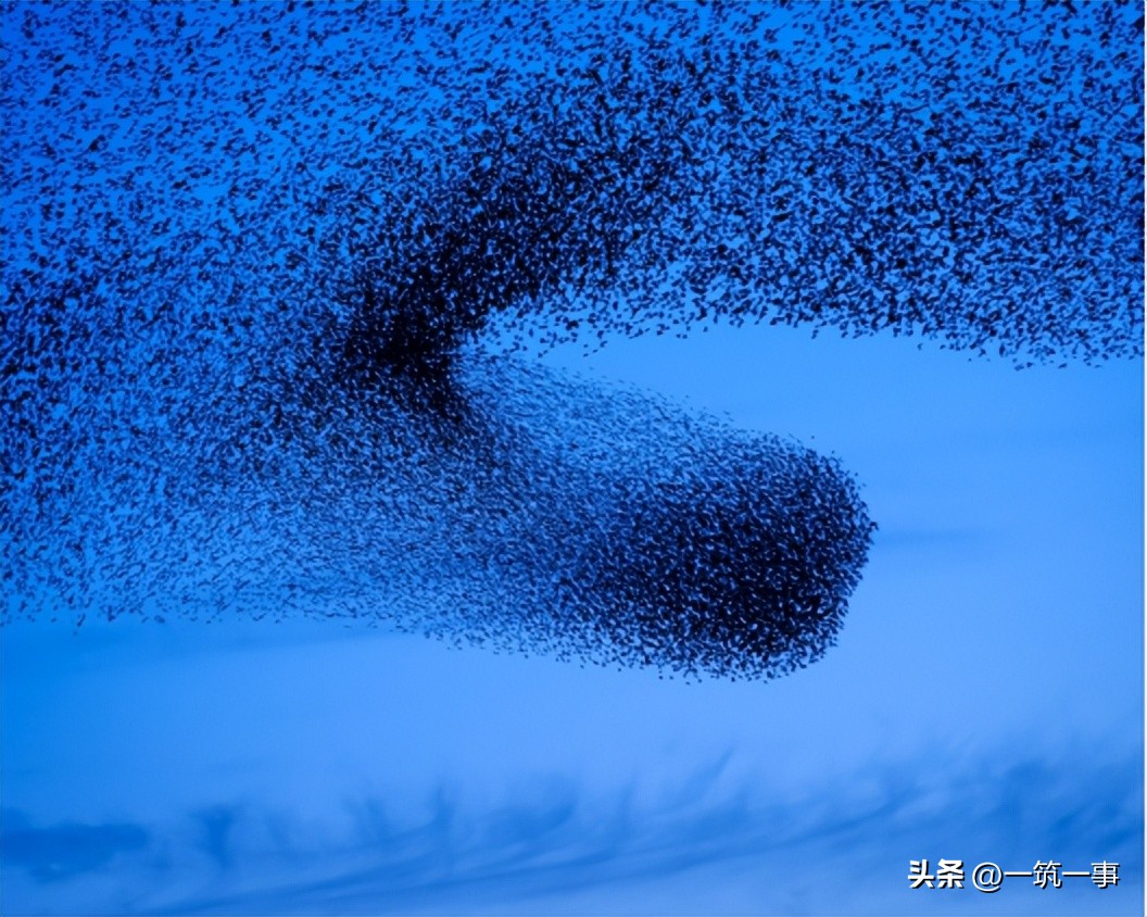 以十一位艺术家的镜头为眼重新“想像荷兰”