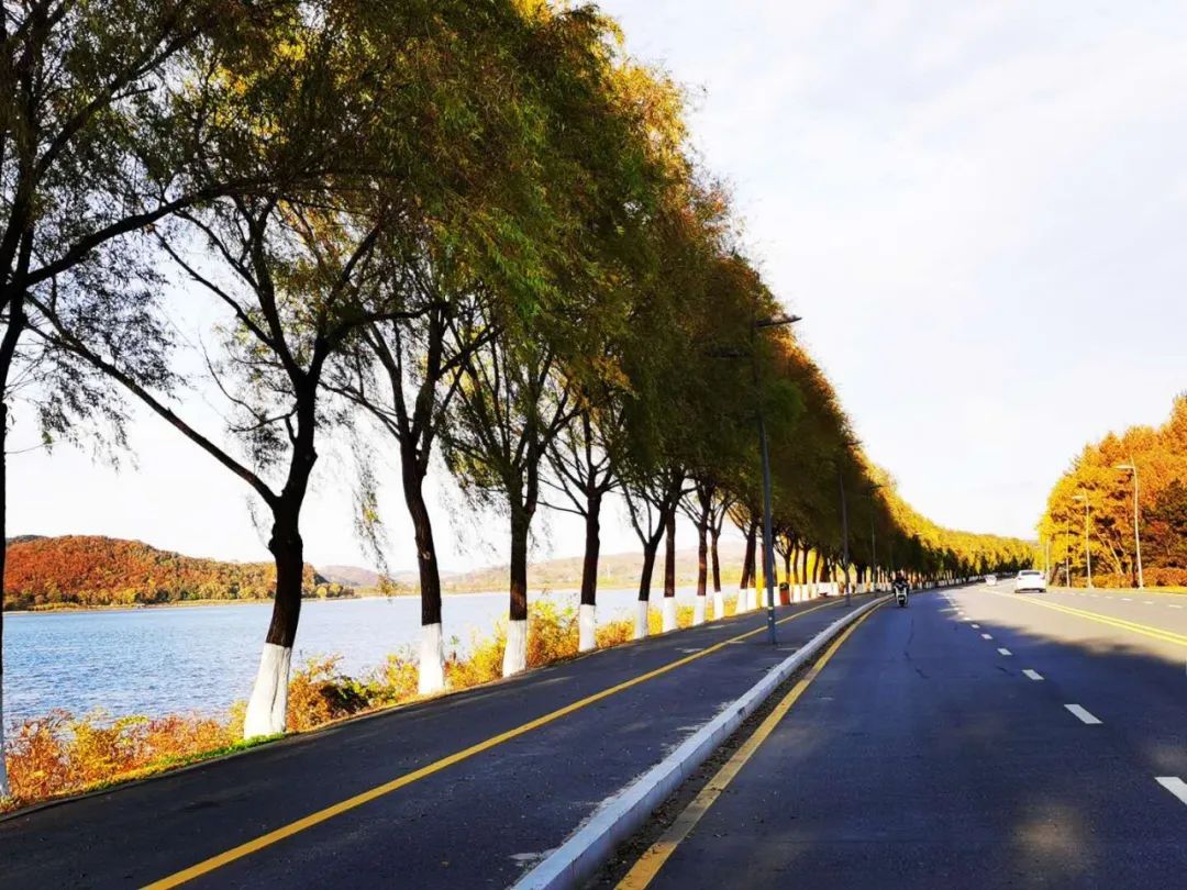 沈阳湿地公园丹顶鹤放飞,沈阳最近郊游最佳地点