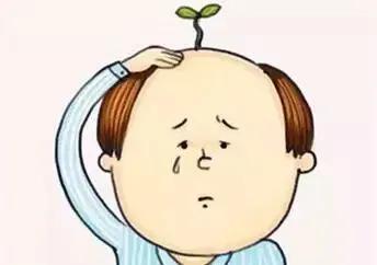 头顶秃植发多少钱,头顶轻微脱发植发多少钱