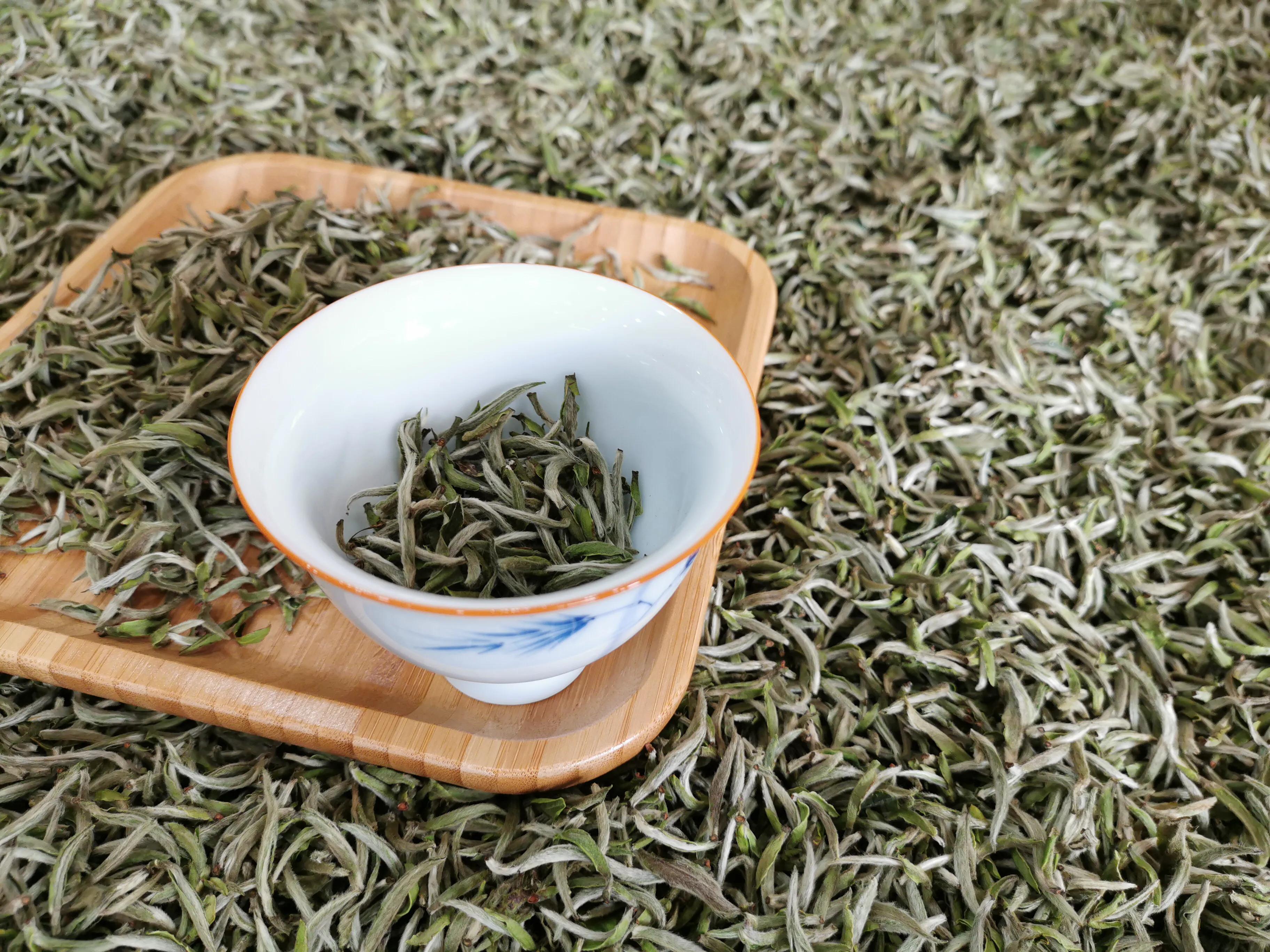 白牡丹福鼎白茶杀青吗,福鼎白茶制作时杀青吗