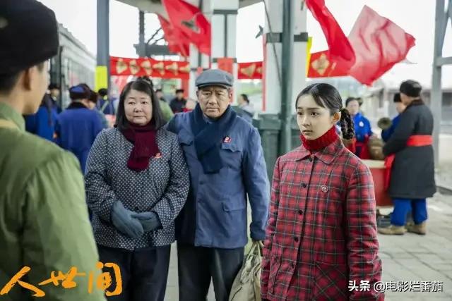 被央视评为收视前五的电视剧,央视上一部收视第一的电视剧