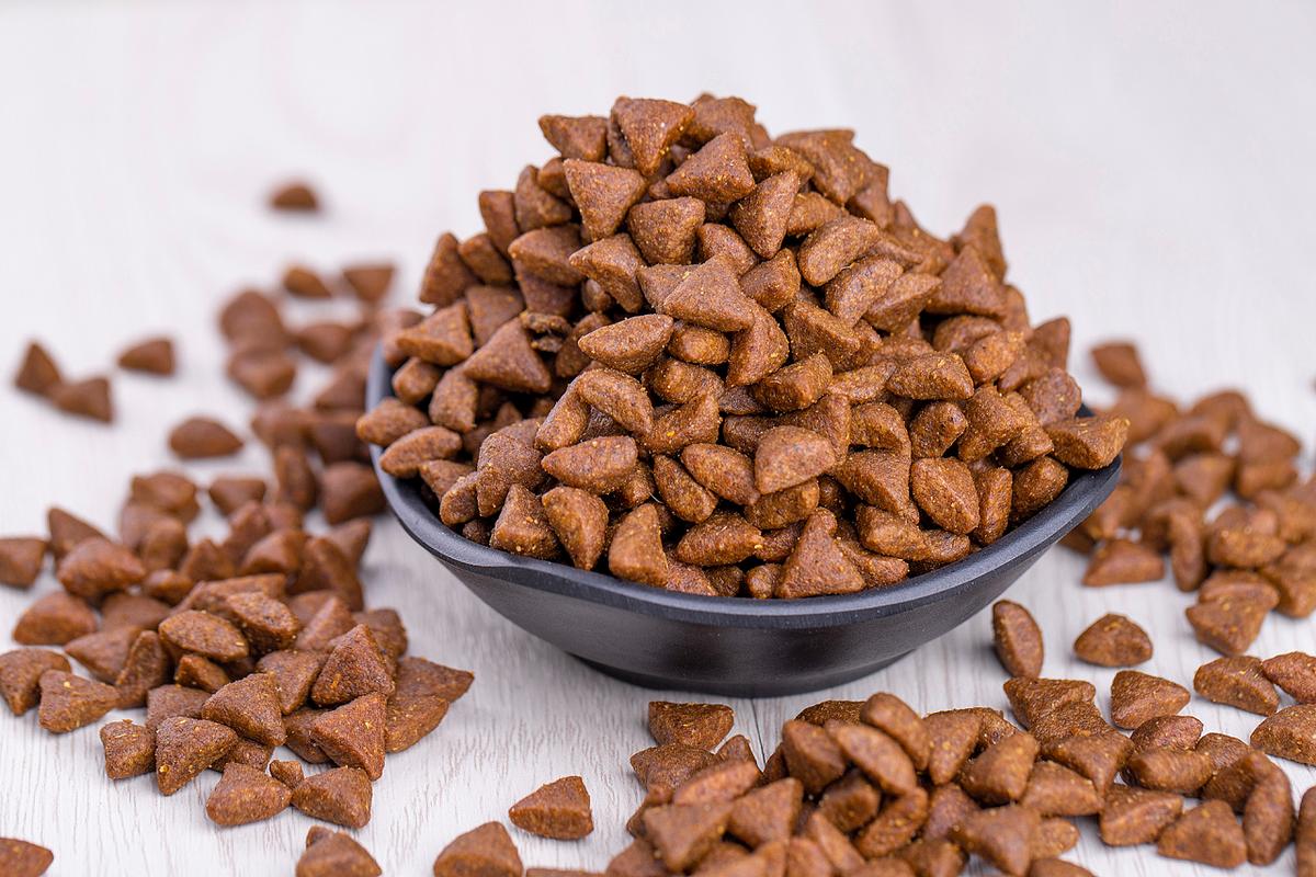 请问猫咪挑食吃什么猫粮最好,猫咪挑食不吃猫粮怎么纠正