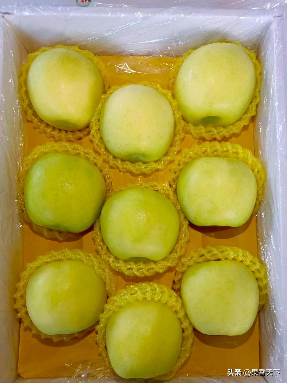 众成三号苹果新品种,最新最全苹果新品种