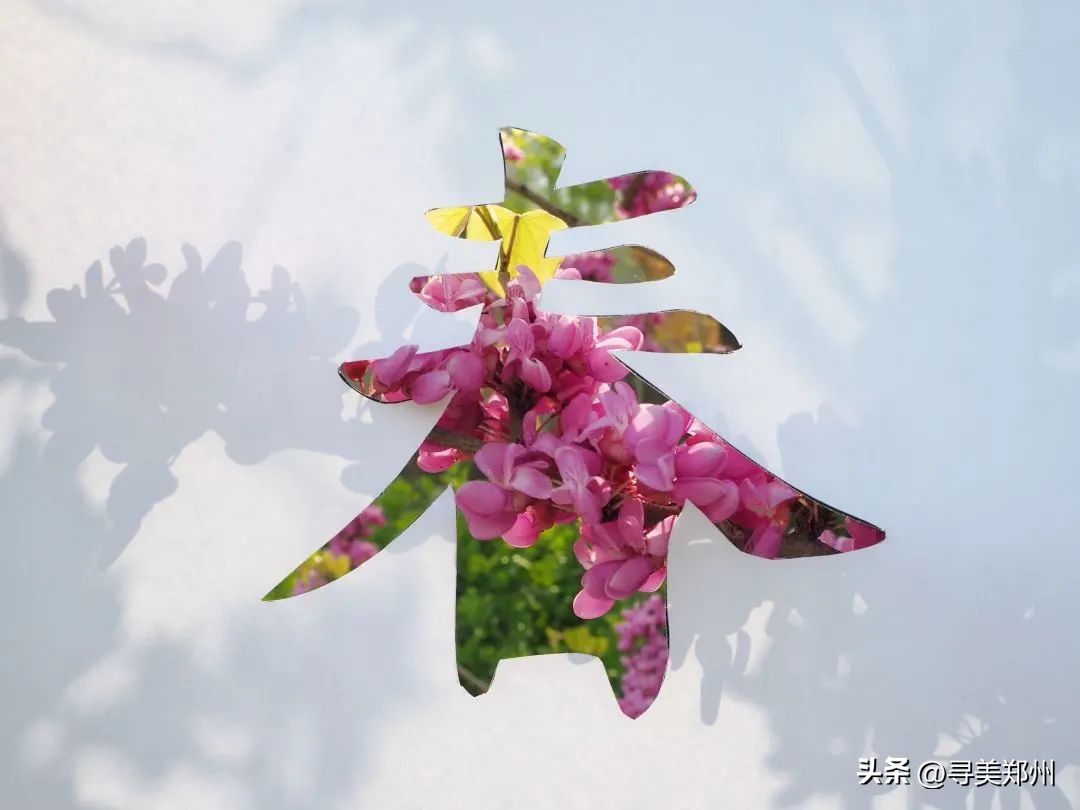 河南科技大学春景,河南科技职业大学校园春景