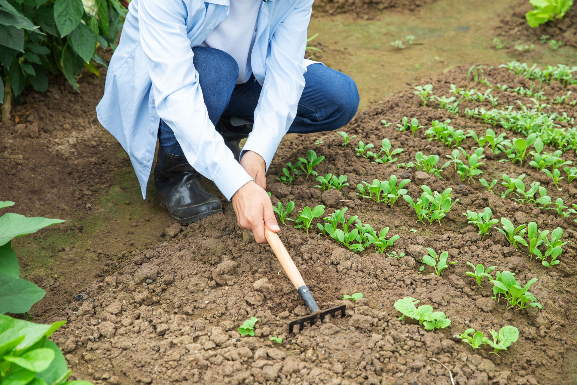 什么是寿有五不过后代福气多,寿有四不过子孙福气多