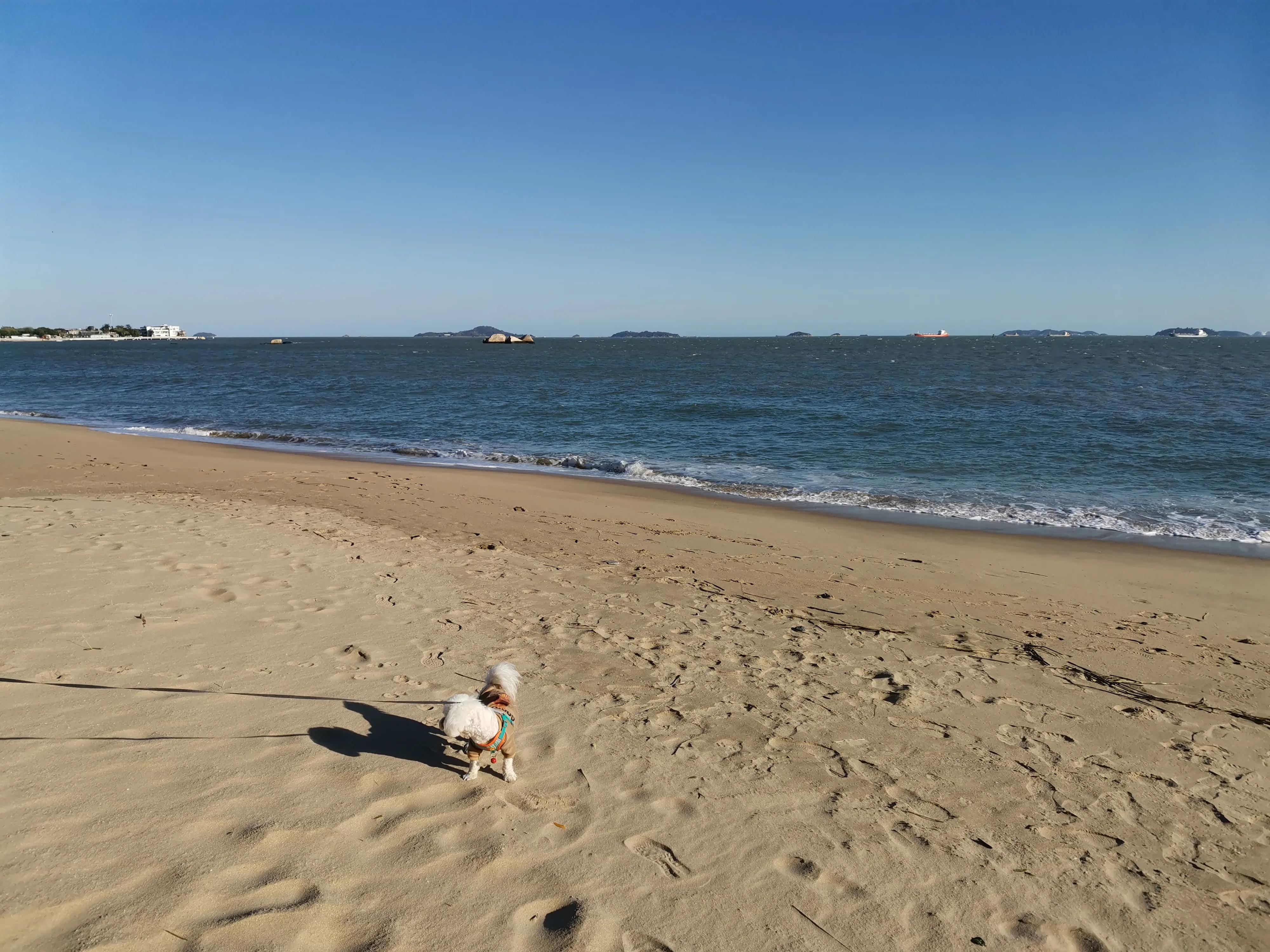 厦门的蓝天白云大海,厦门的海厦门的天空