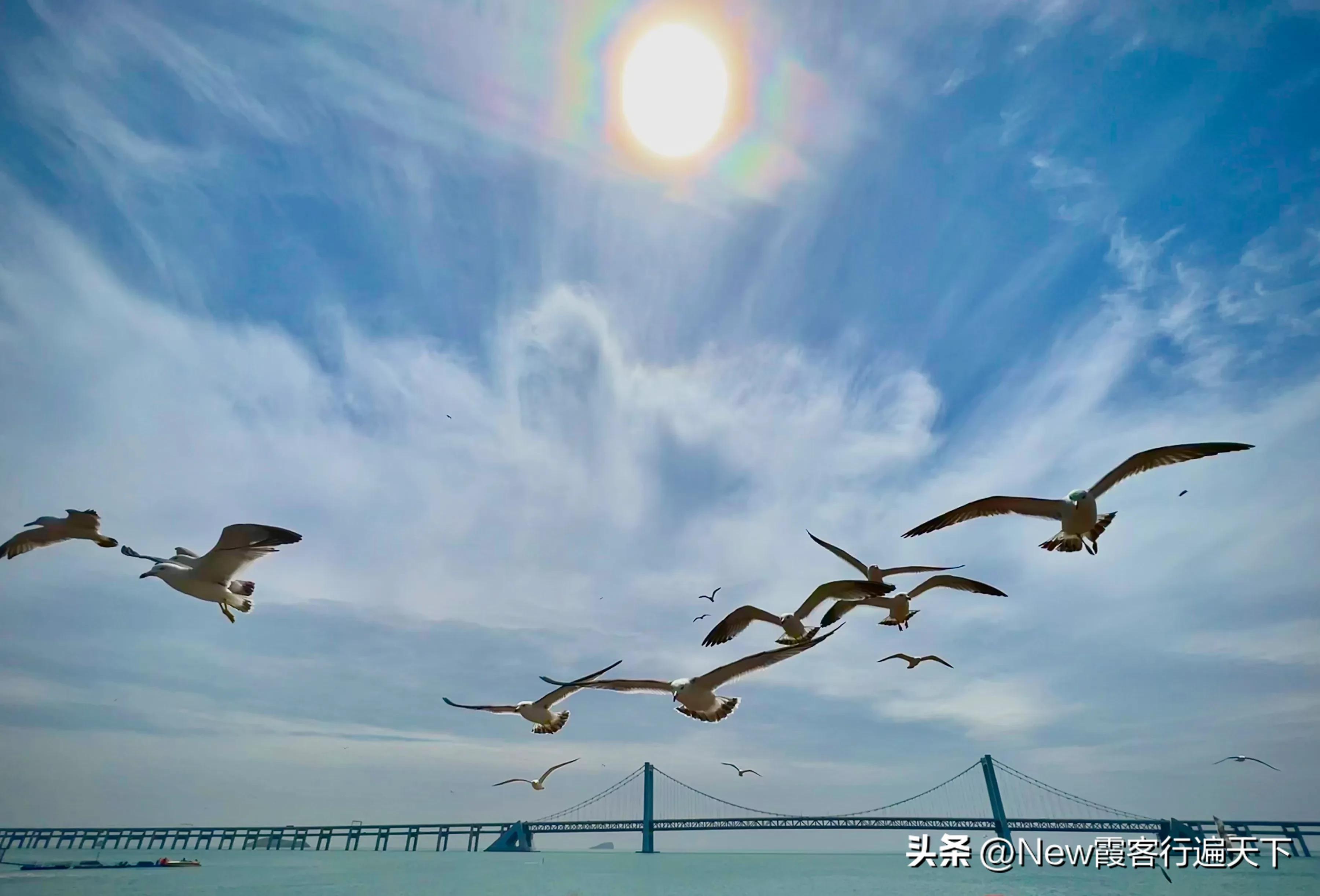 大连滨海路木栈道旅游攻略,周末徒步徜徉大连山海美景